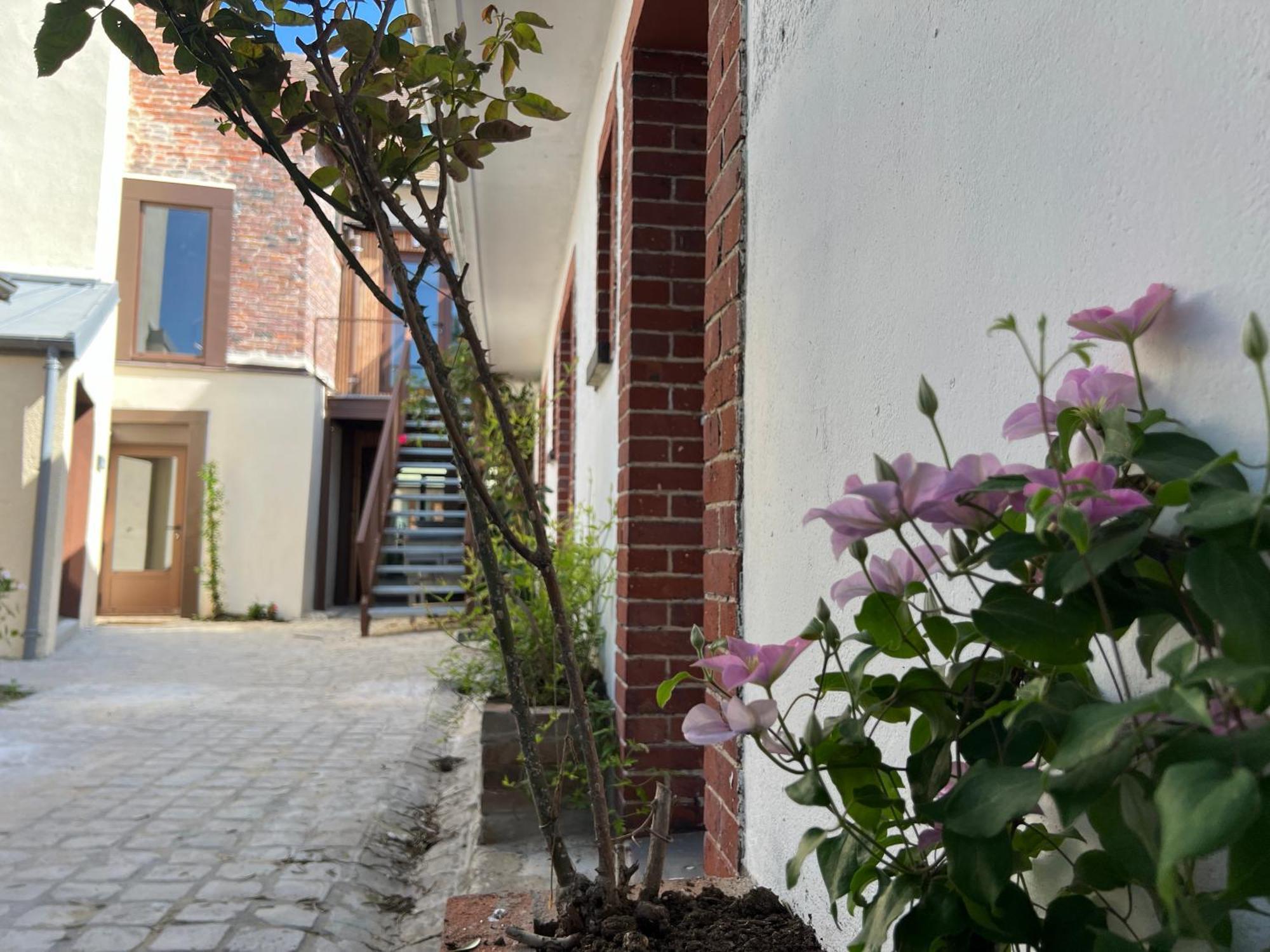 Bed and Breakfast Le Chene Fleuri Chartres Exterior foto